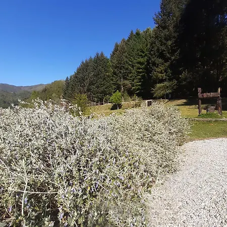 Lägenhet Il Bosco Di Campo Marzano & Sky