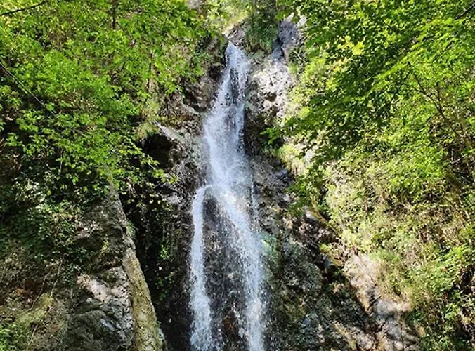 Il Bosco Di Campo Marzano & Sky *