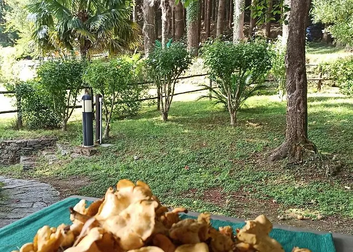 Il Bosco Di Campo Marzano & Sky Apartamento *