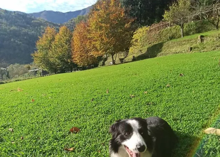 Il Bosco Di Campo Marzano & Sky *