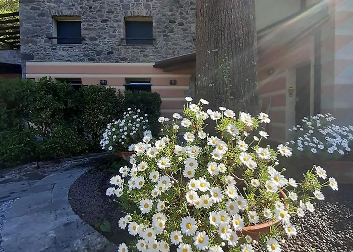 Apartamento Il Bosco Di Campo Marzano & Sky Borzonasca