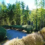 Il Bosco Di Campo Marzano & Sky 公寓