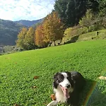 Il Bosco Di Campo Marzano & Sky *