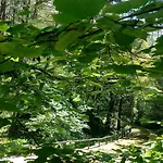 Il Bosco Di Campo Marzano & Sky Borzonasca