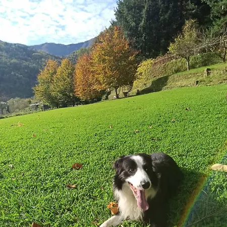 Il Bosco Di Campo Marzano & Sky *