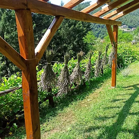 Il Bosco Di Campo Marzano & Sky * Borzonasca