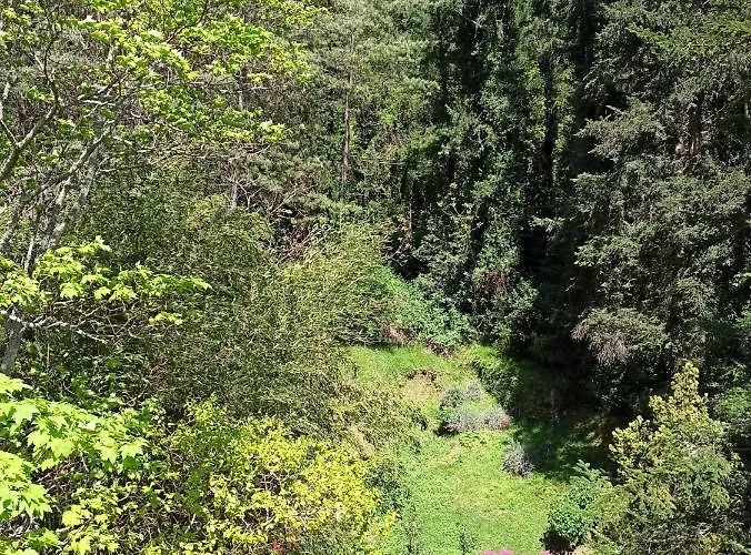 Apartmán Il Bosco Di Campo Marzano & Sky *