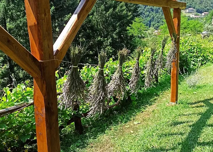 Il Bosco Di Campo Marzano & Sky * Borzonasca