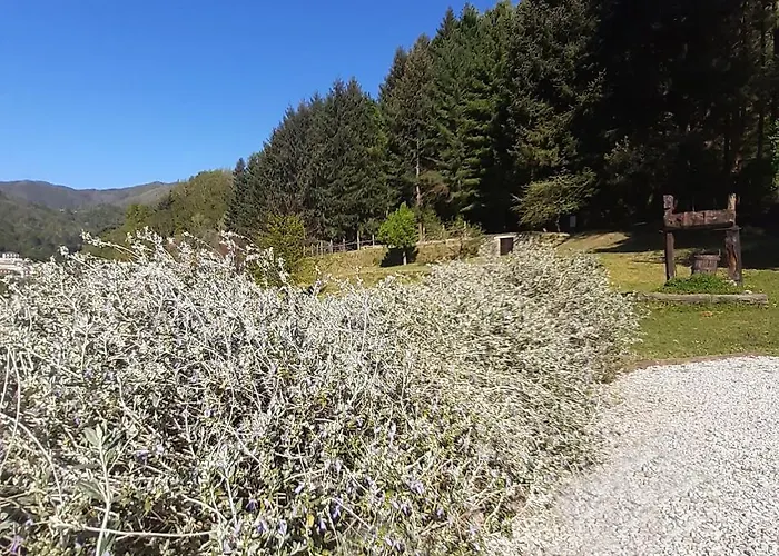 Apartmán Il Bosco Di Campo Marzano & Sky